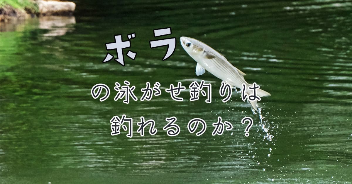 ボラの泳がせ釣りは釣れるのか？メリットも解説！