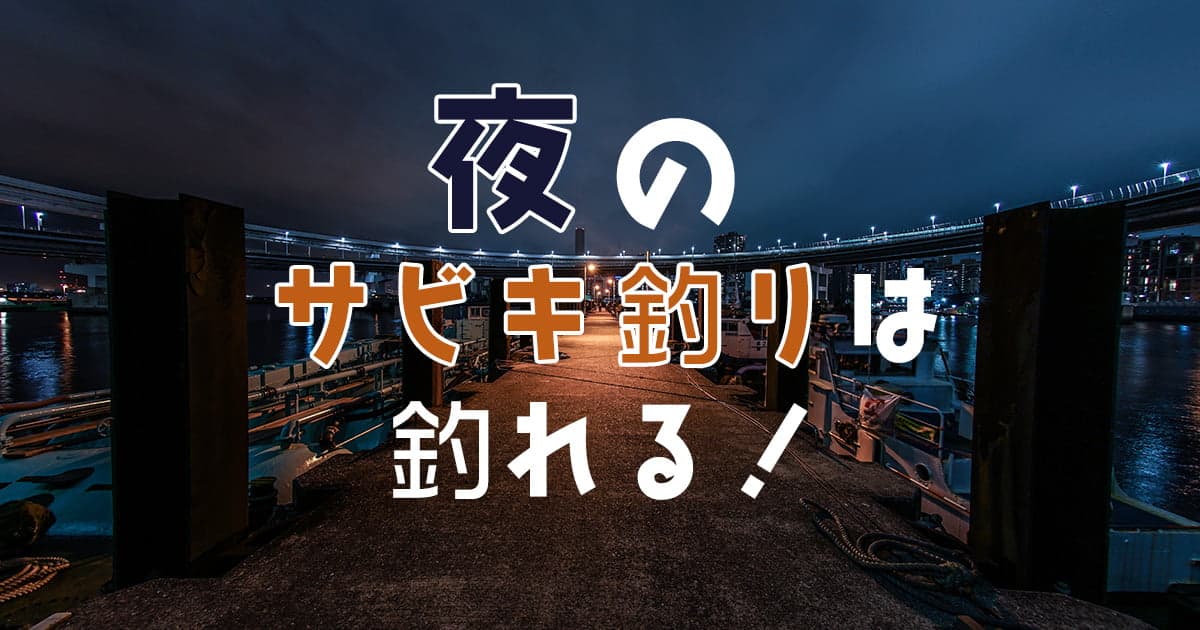 夜のサビキ釣りは釣れる！理由とおすすめのポイントを解説！