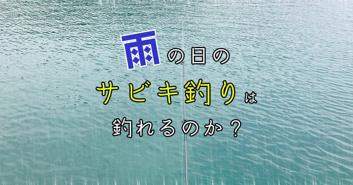 雨の日のサビキ釣りは釣れるのか？おすすめのサビキ仕掛けも紹介！