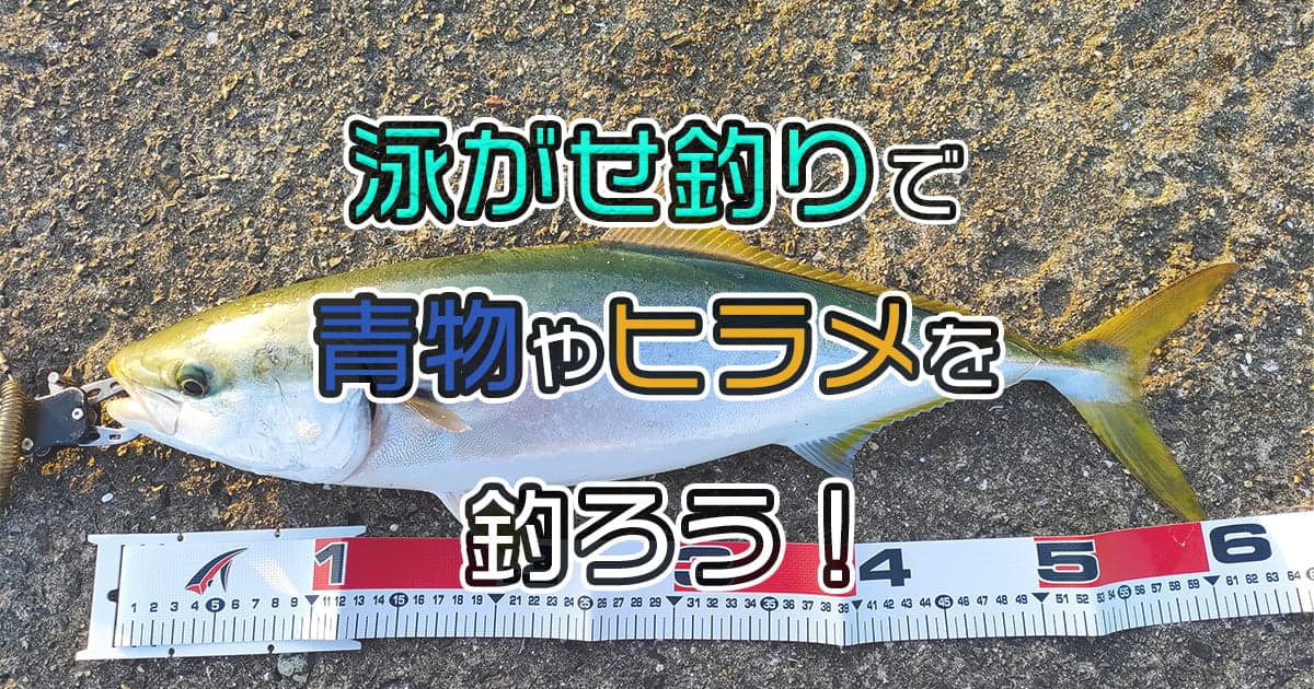 泳がせ釣り(ノマセ釣り)で青物やヒラメを釣ろう！失敗しないポイントとコツを伝授