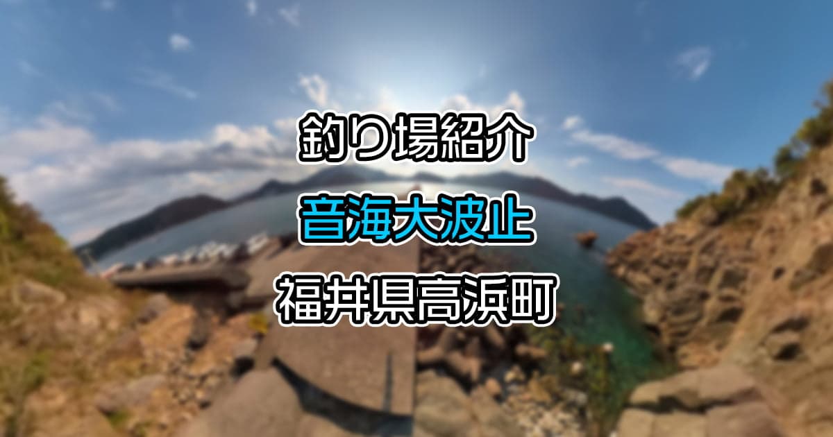 音海大波止：魚影の濃い福井の大人気釣りスポット【釣り場紹介】