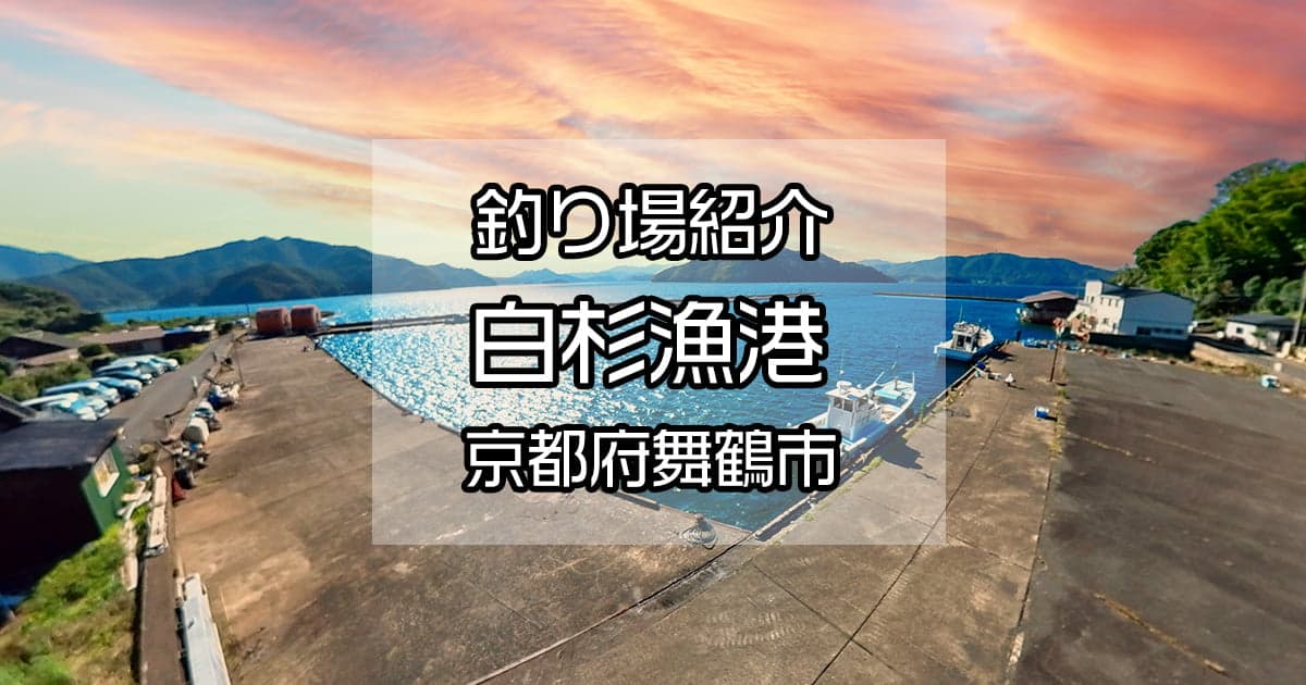 白杉漁港：多彩な魚種と美しい海景色が魅力の釣りスポット【釣り場紹介】