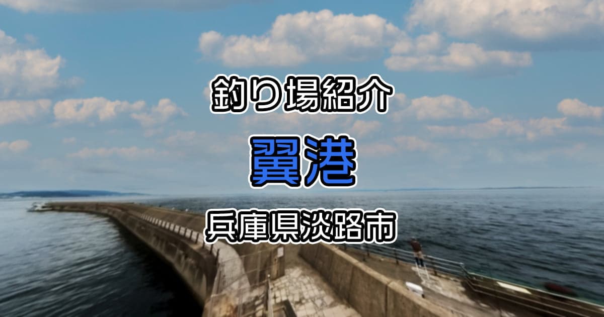 翼港：関西で大人気のショアジギングスポット【釣り場紹介】