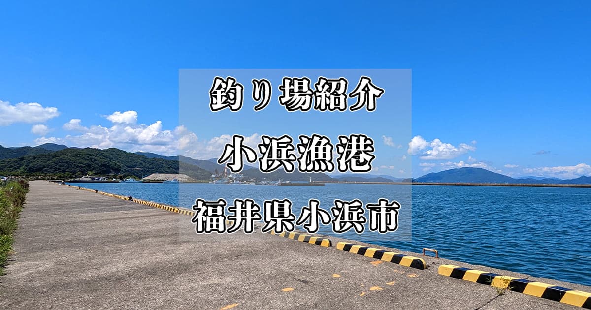 小浜漁港(小浜新港)：市街地近くの広大な釣りスポット【釣り場紹介】