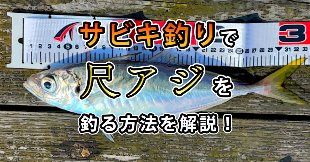 サビキ釣りで尺アジ(大アジ)を釣る方法を解説！