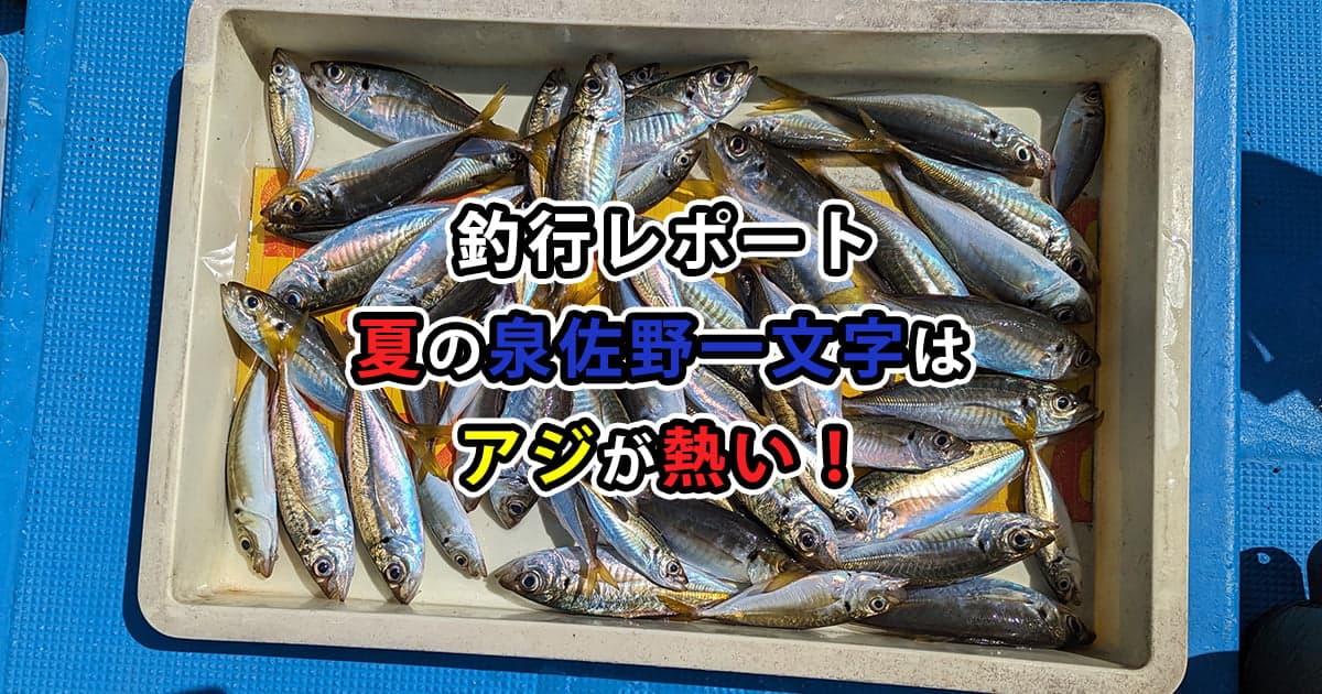 夏の泉佐野一文字はアジが熱い！【釣行レポート】