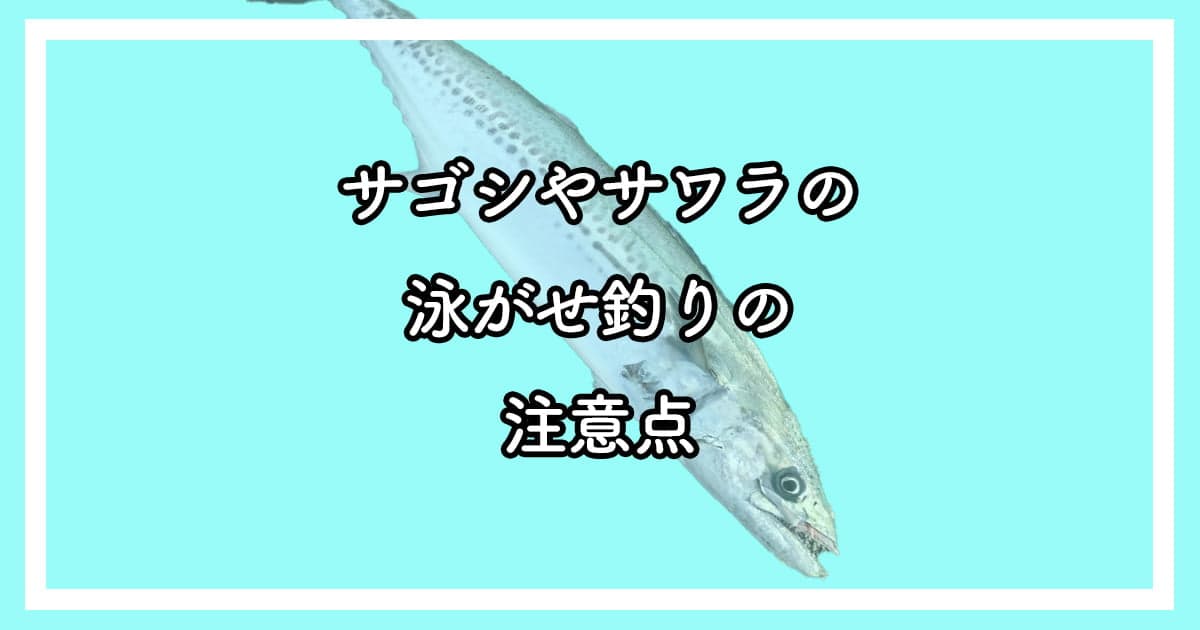 サゴシやサワラの泳がせ釣りの注意点と対策方法を解説