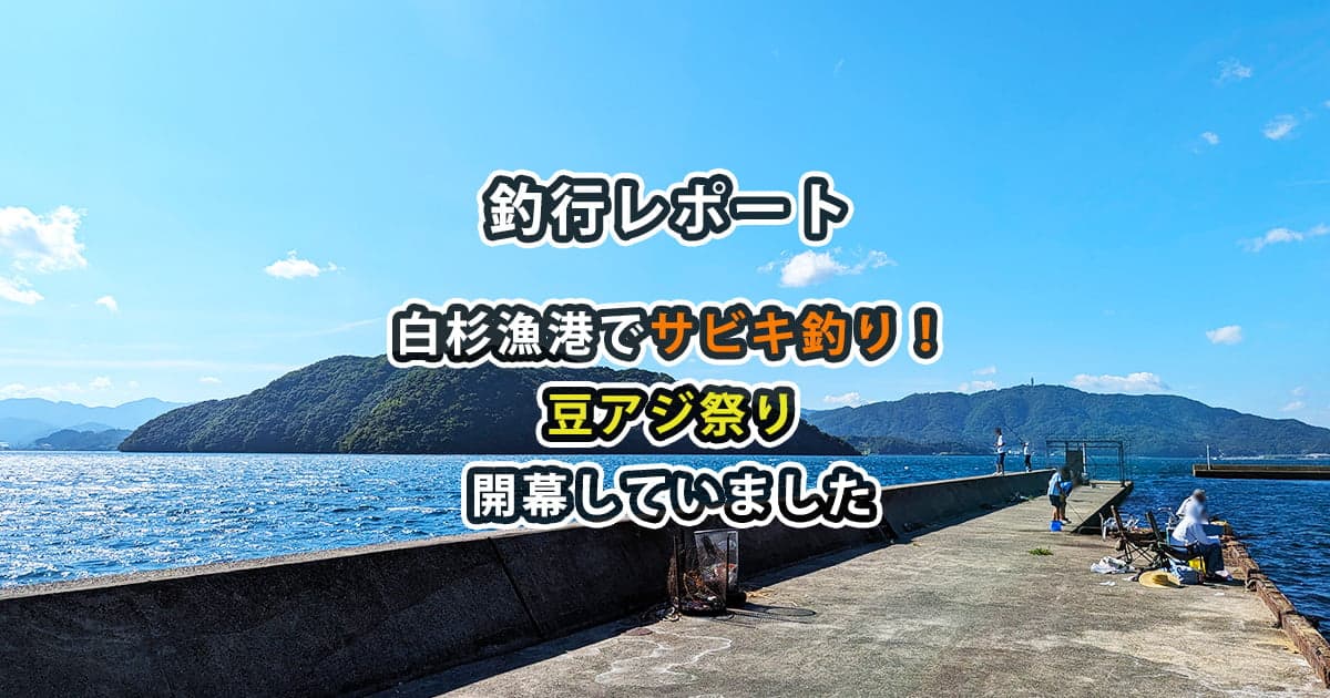 白杉漁港でサビキ釣り！豆アジ祭り開催してました【釣行レポート】