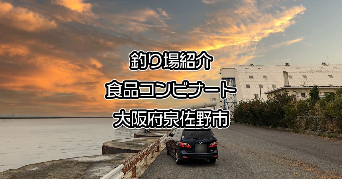 大阪泉佐野の食品コンビナート：車横付け可の無料釣りスポット【釣り場紹介】