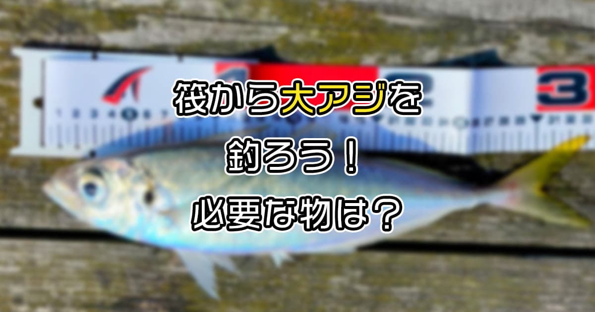 筏からアジを釣る際に必要な物とオススメのサビキ仕掛けや竿を解説！