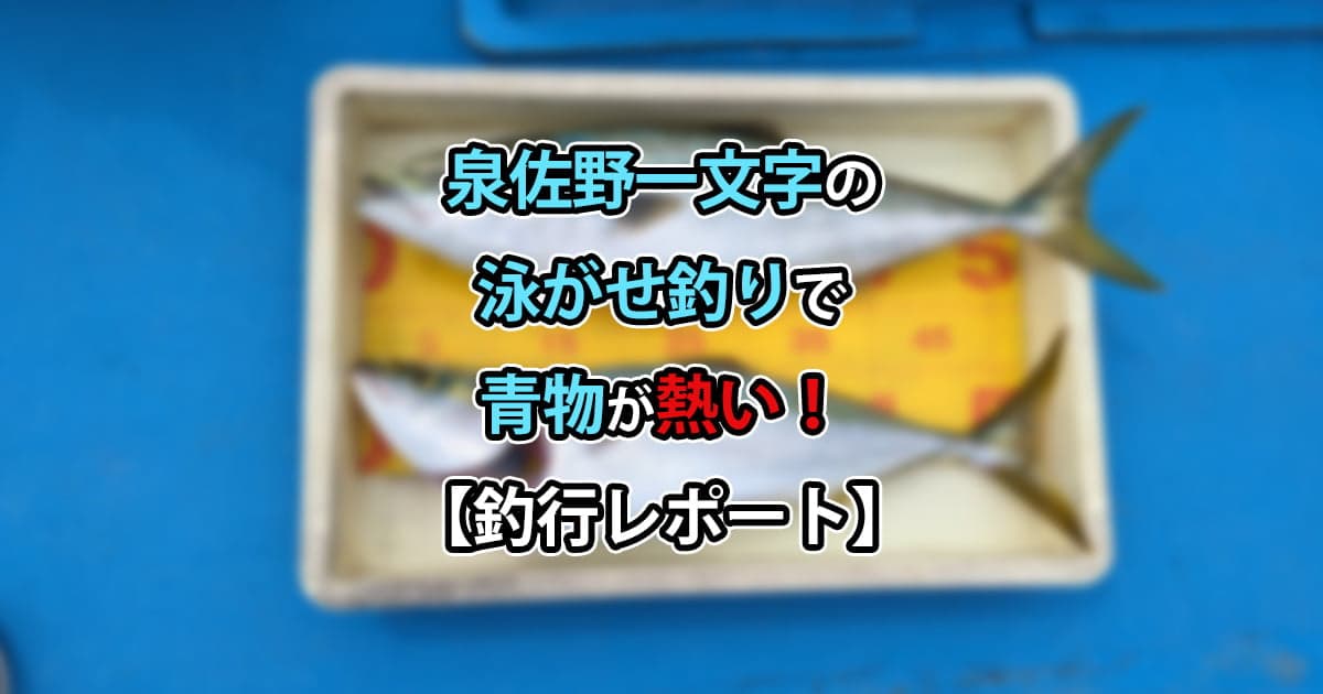 泉佐野一文字の泳がせ釣りで青物が熱い！【釣行レポート】