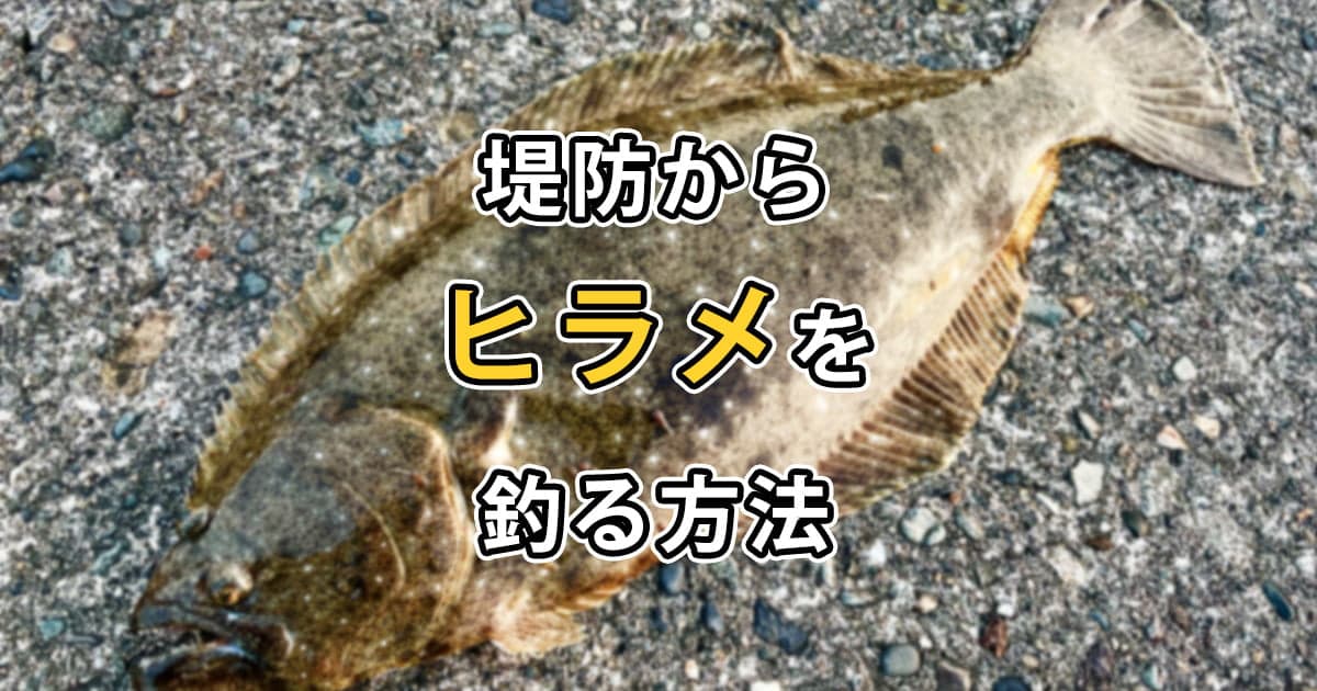 堤防からヒラメを釣る方法を解説！オススメの仕掛けも紹介します