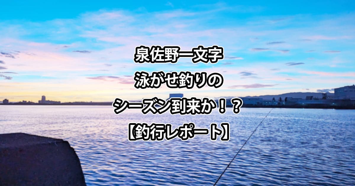 泉佐野一文字で泳がせ釣りのシーズン到来か！？【釣行レポート】