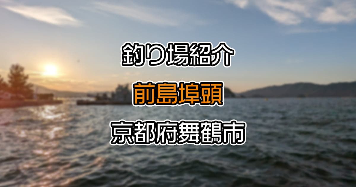 前島埠頭：市街地近くで車横付け可の無料釣りスポット【釣り場紹介】
