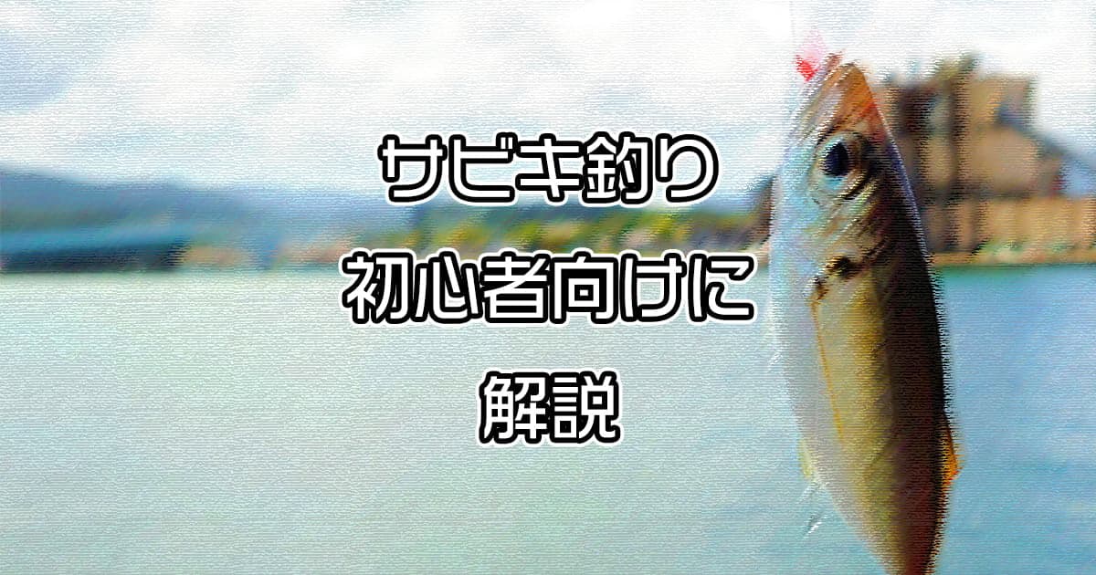 サビキ釣りを初心者の方向けに徹底解説！必要な道具から釣り方まで