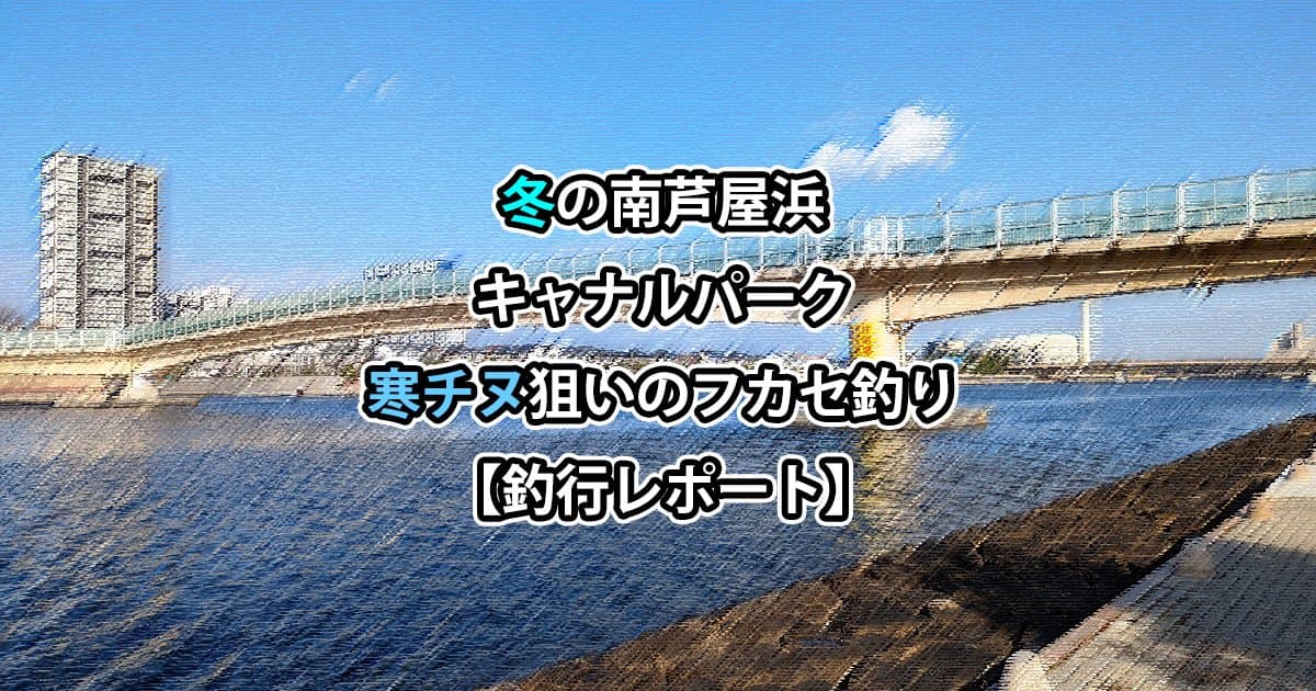 冬の南芦屋浜で寒チヌ狙いのフカセ釣り【釣行レポート】
