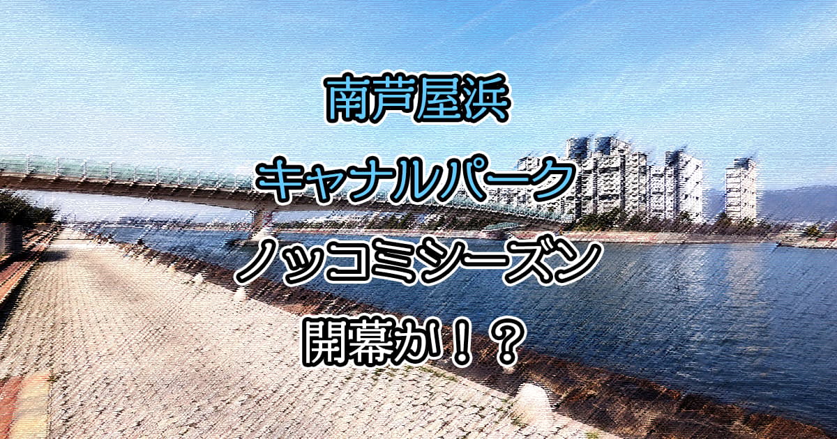 南芦屋浜キャナルパーク ノッコミシーズン開幕か【釣行レポート】