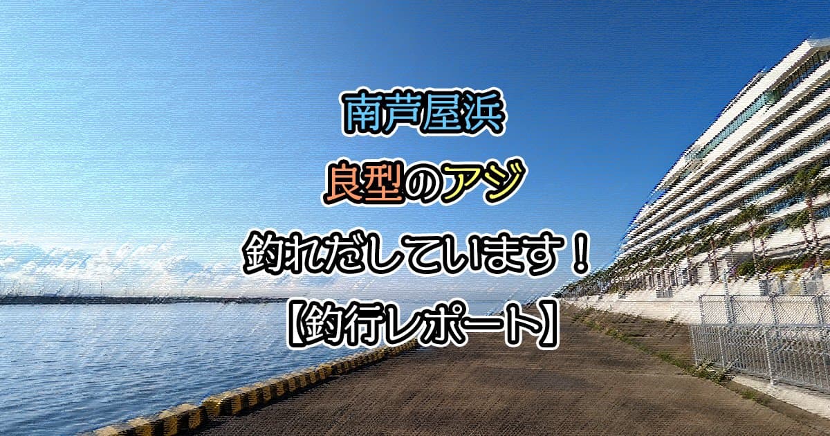 南芦屋浜 良型のアジが釣れだしています【釣行レポート】