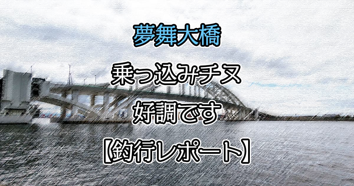 夢舞大橋 乗っ込みチヌ好調です！【釣果レポート】