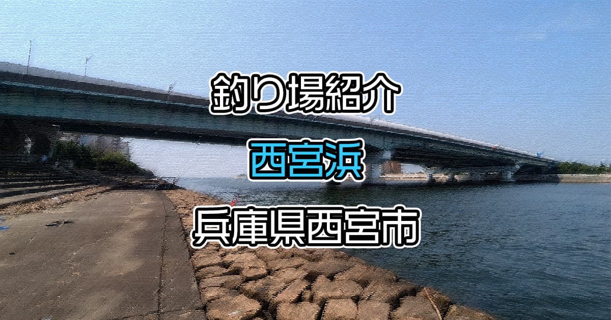 西宮浜：ファミリーにもおすすめの釣りスポット【釣り場紹介】