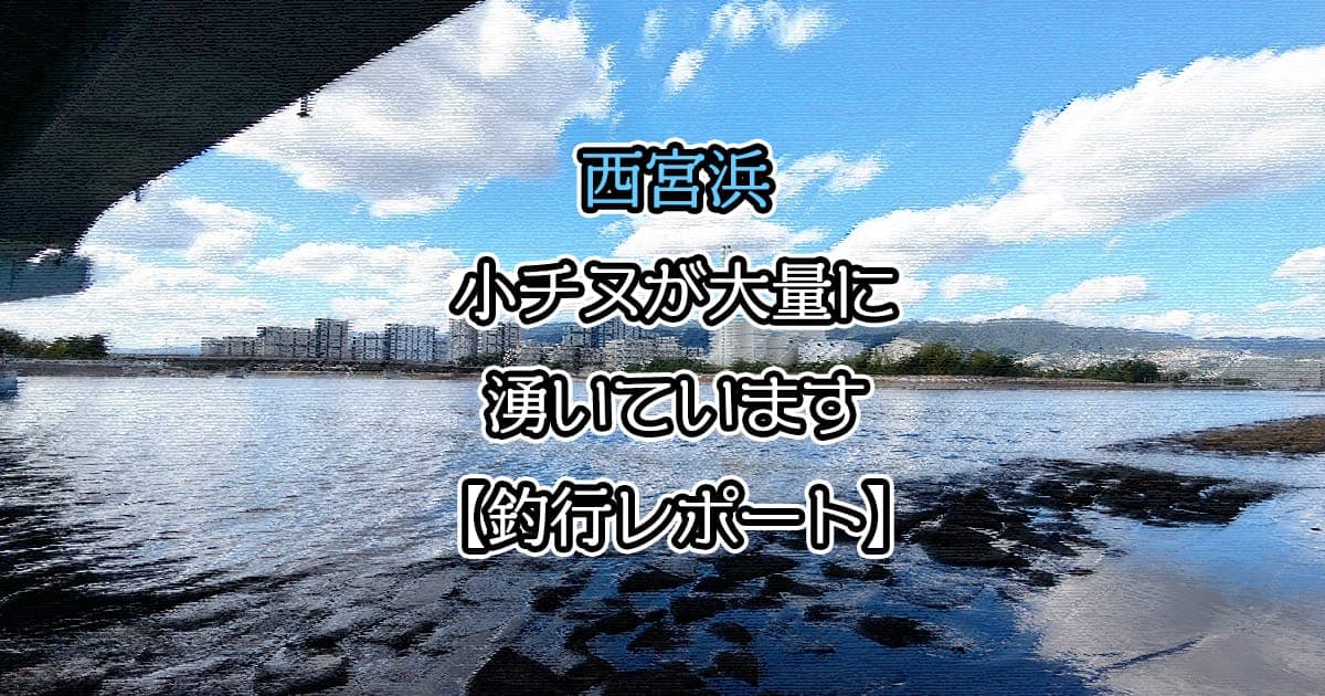 西宮浜 フカセ釣りをするも小チヌが大量に【釣行レポート】